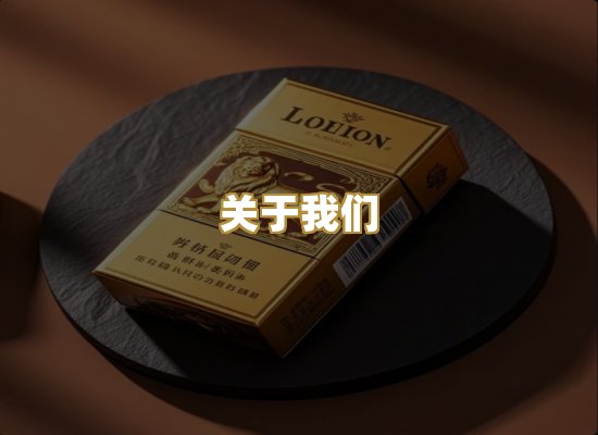 关于我们